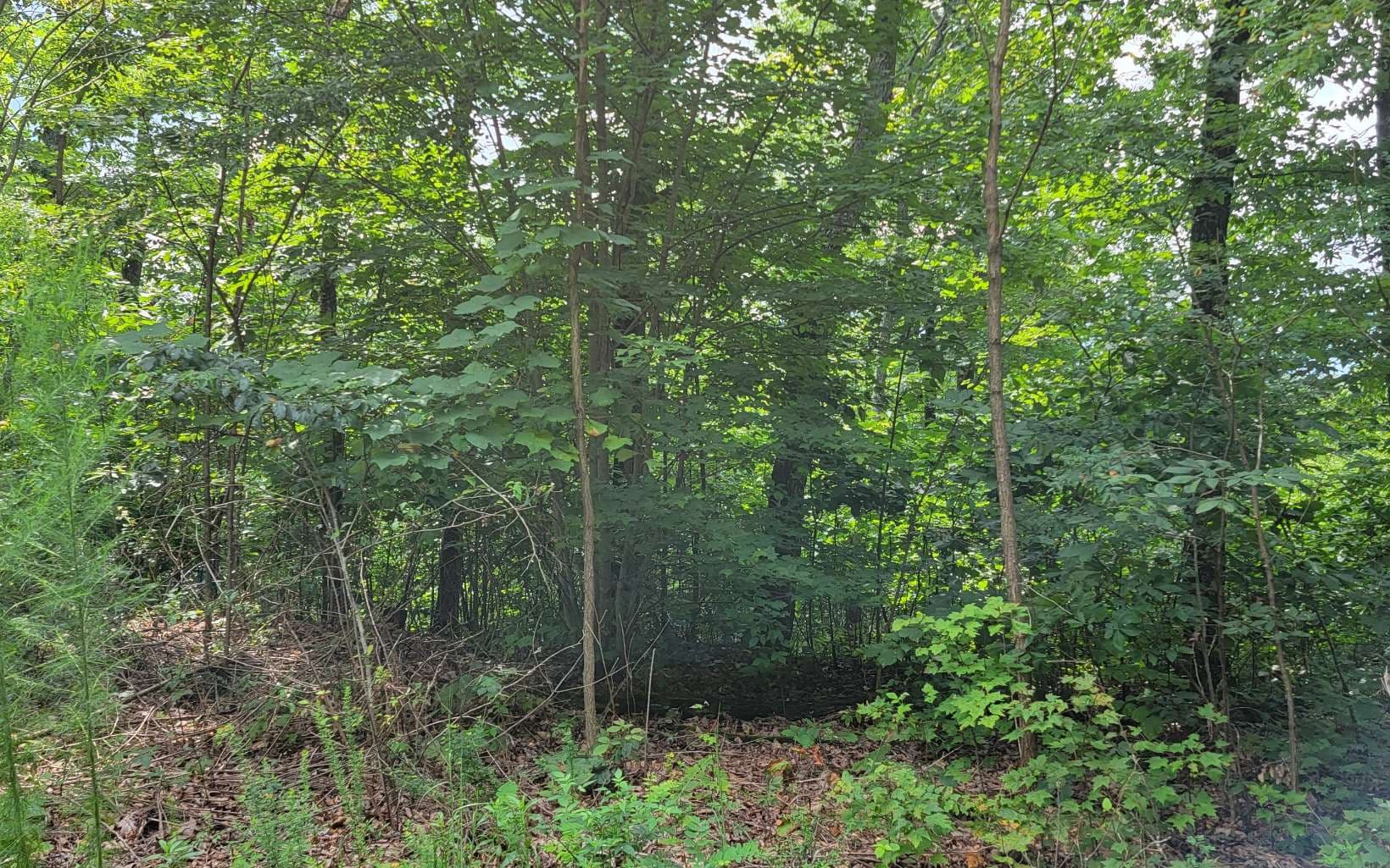 27 Oak Ridge North, Hayesville NC 28904 - Photo