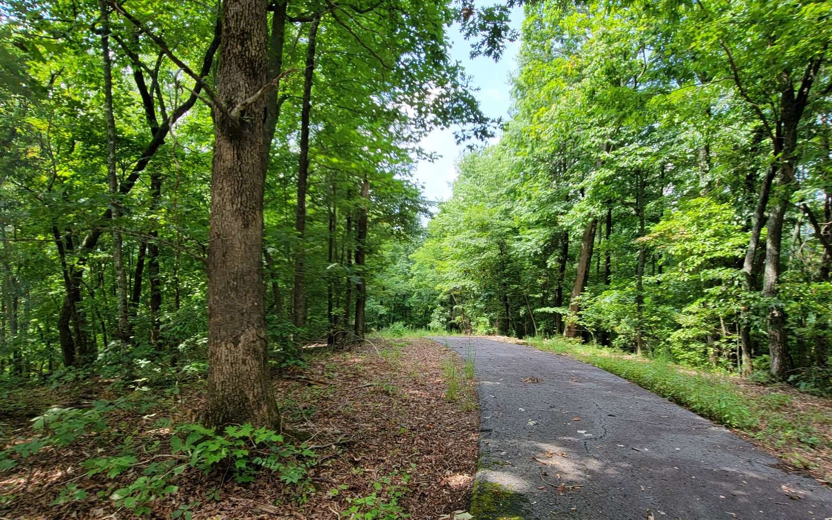 27 Oak Ridge North, Hayesville NC 28904 - Photo