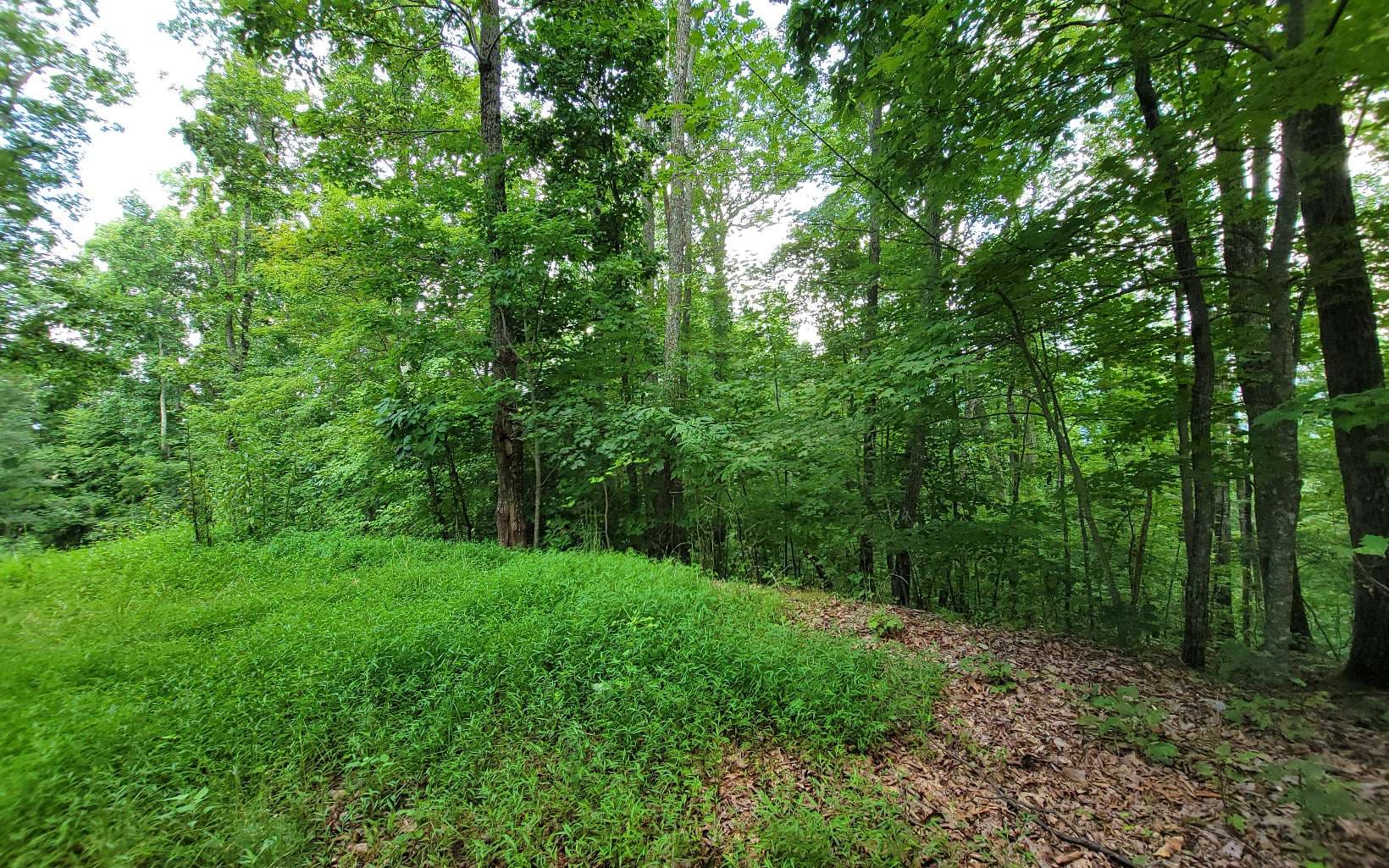 25 Oak Ridge North, Hayesville NC 28904 - Photo