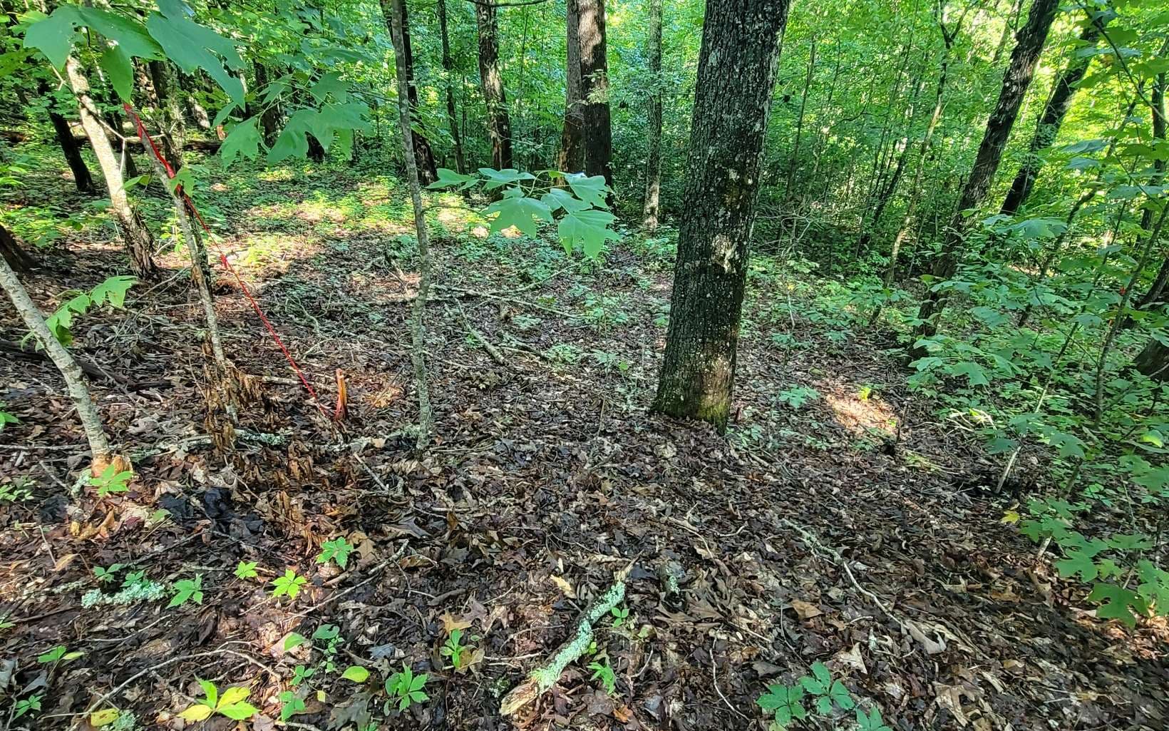 154-5 Dogwood Circle, Hayesville NC 28904 - Photo
