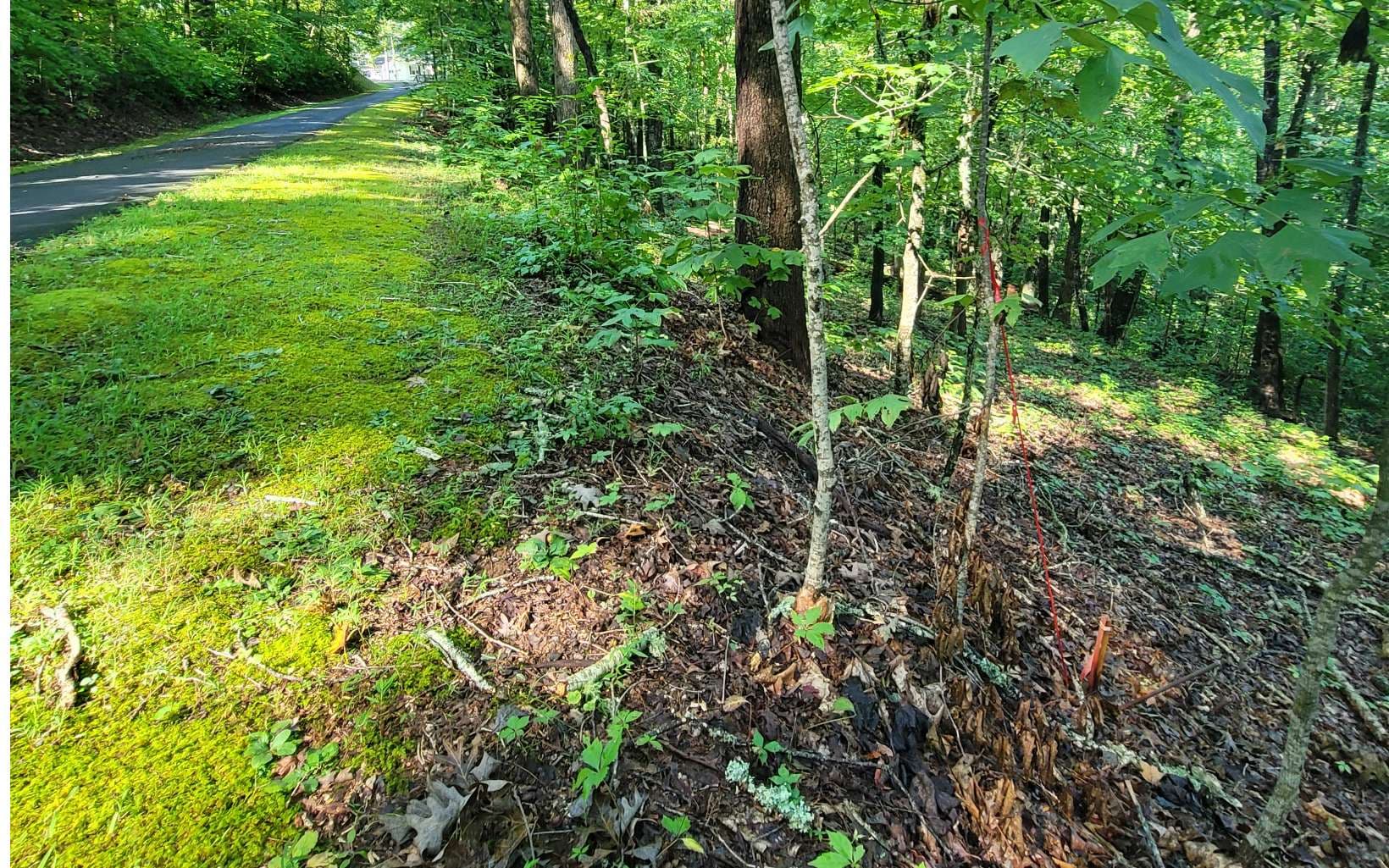 154-5 Dogwood Circle, Hayesville NC 28904 - Photo