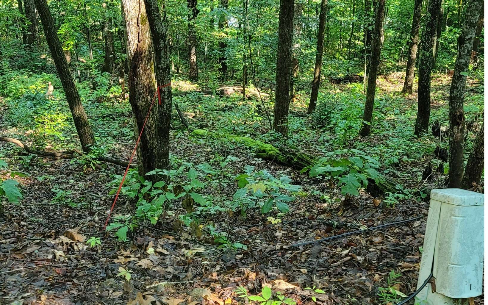154-5 Dogwood Circle, Hayesville NC 28904 - Photo