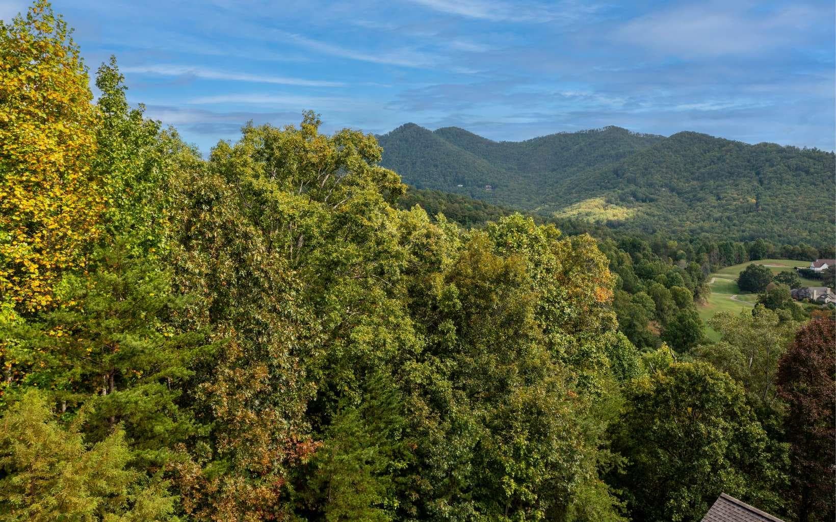 29C Indian Trail, Hayesville NC 28904 - Photo