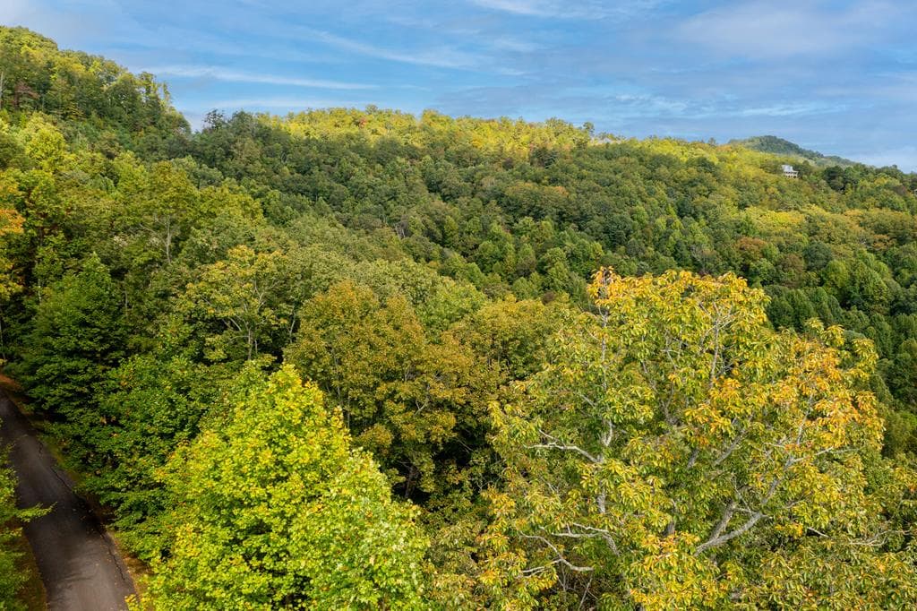 29C Indian Trail, Hayesville NC 28904 - Photo