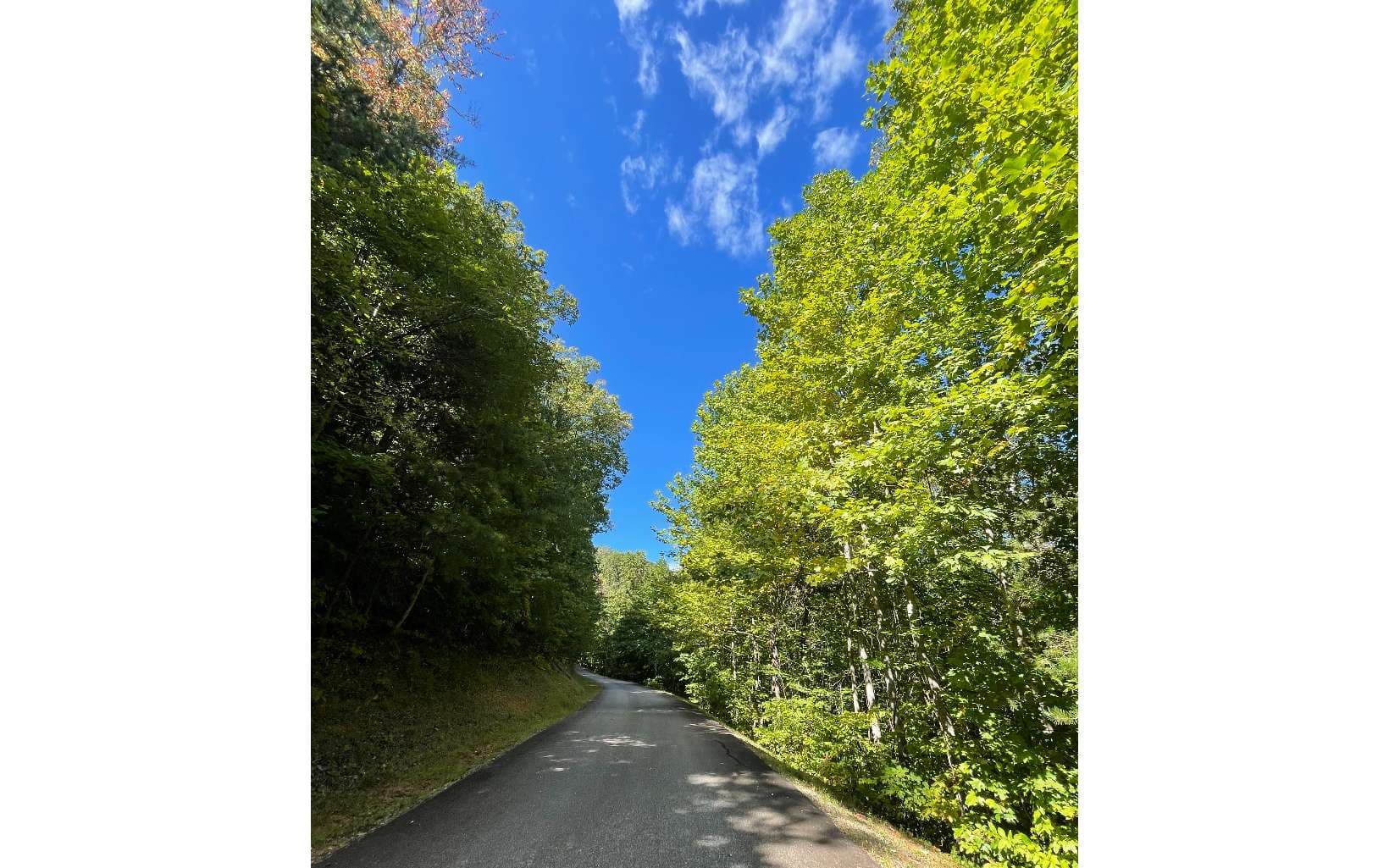 29C Indian Trail, Hayesville NC 28904 - Photo