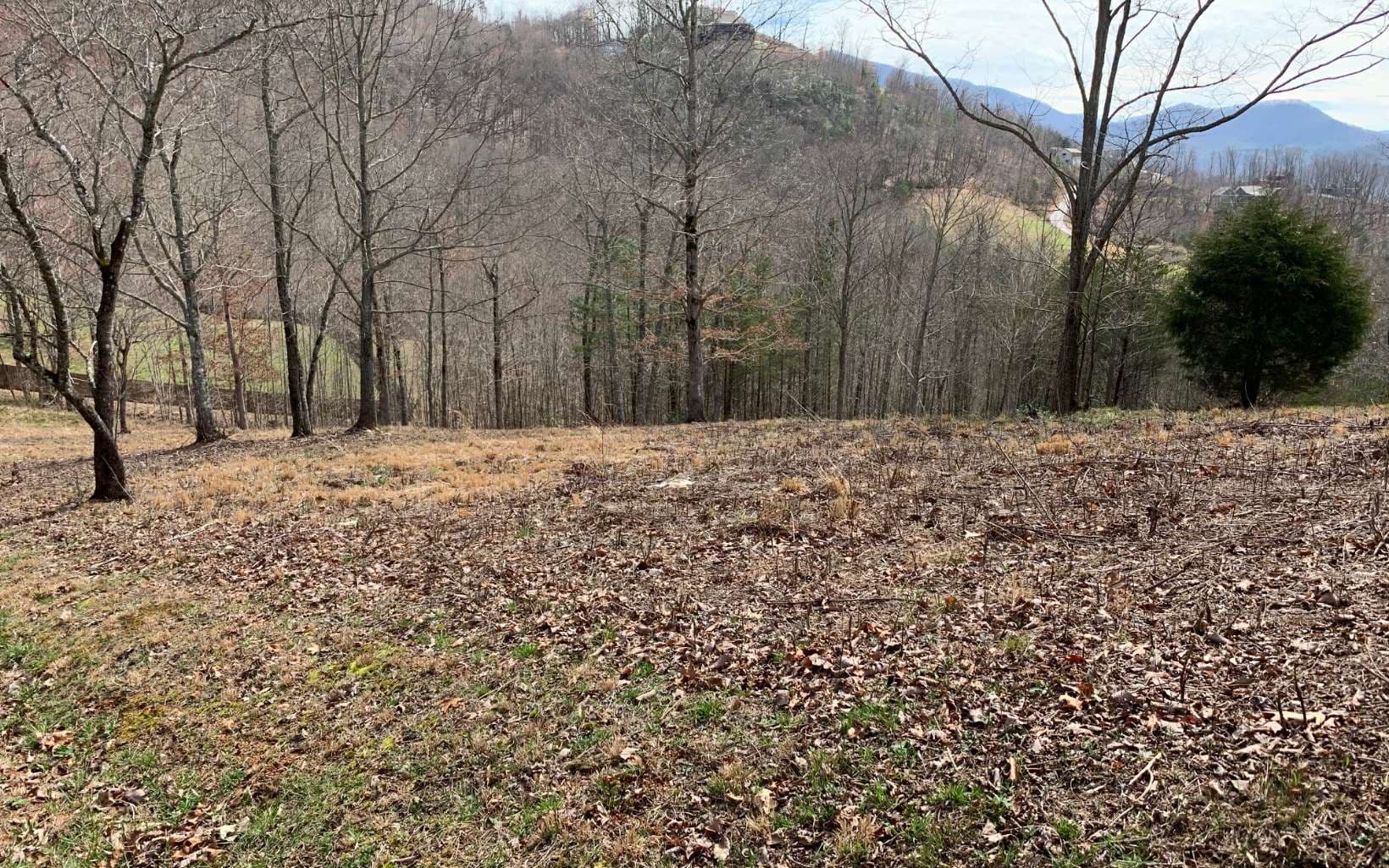 Lot 42 Dan Knob, Hayesville NC 28904 - Photo