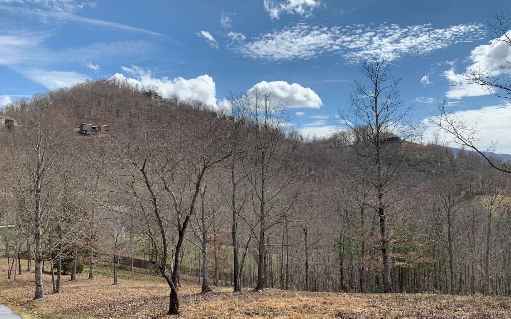 Lot 42 Dan Knob, Hayesville NC 28904 - Photo