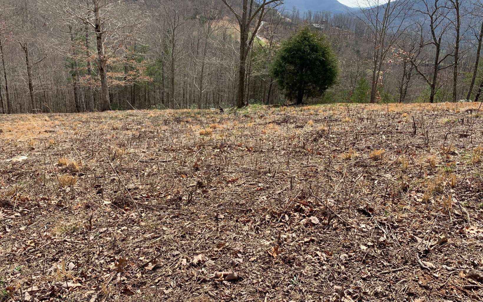 Lot 42 Dan Knob, Hayesville NC 28904 - Photo