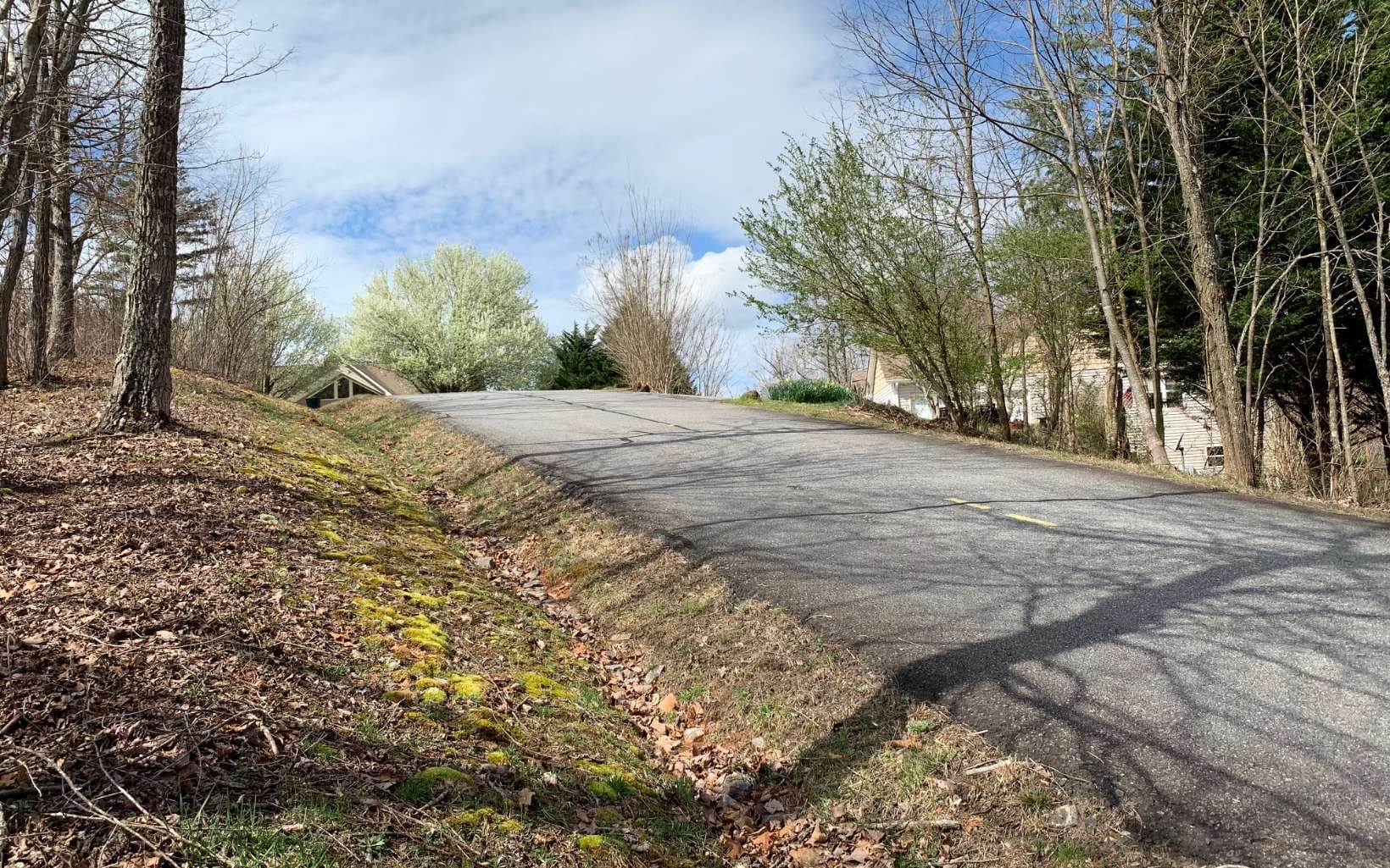 Lot 42 Dan Knob, Hayesville NC 28904 - Photo