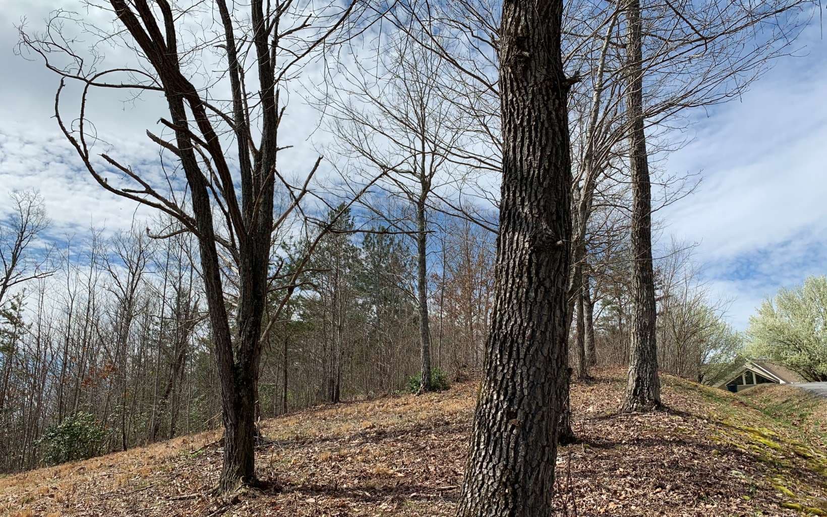 Lot 42 Dan Knob, Hayesville NC 28904 - Photo