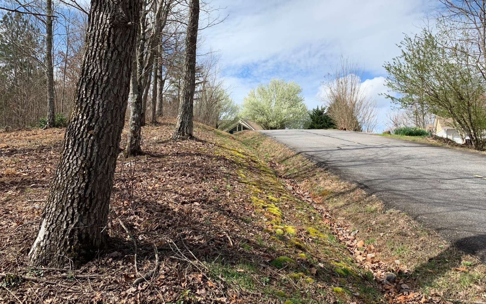 Lot 42 Dan Knob, Hayesville NC 28904 - Photo