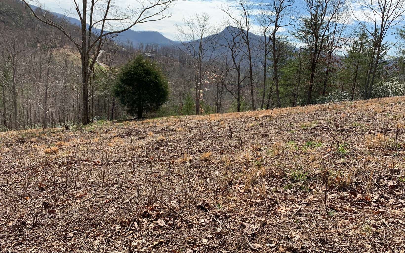 Lot 42 Dan Knob, Hayesville NC 28904 - Photo