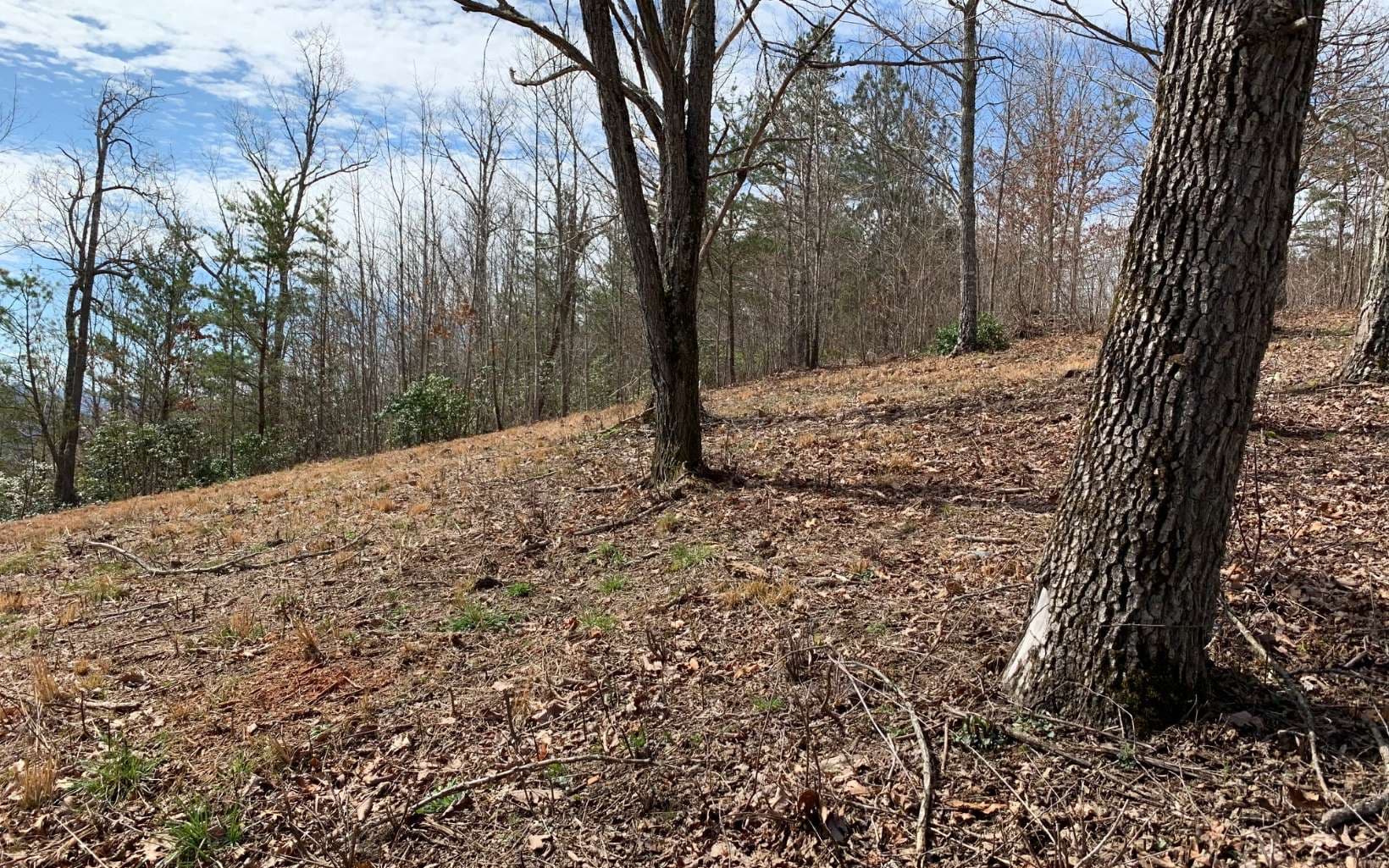 Lot 42 Dan Knob, Hayesville NC 28904 - Photo