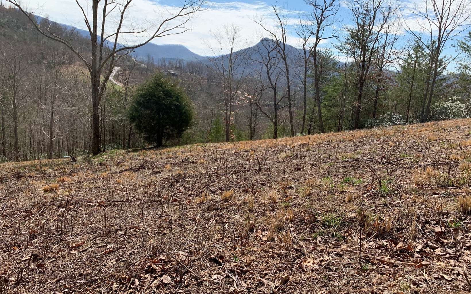 Lot 42 Dan Knob, Hayesville NC 28904 - Photo