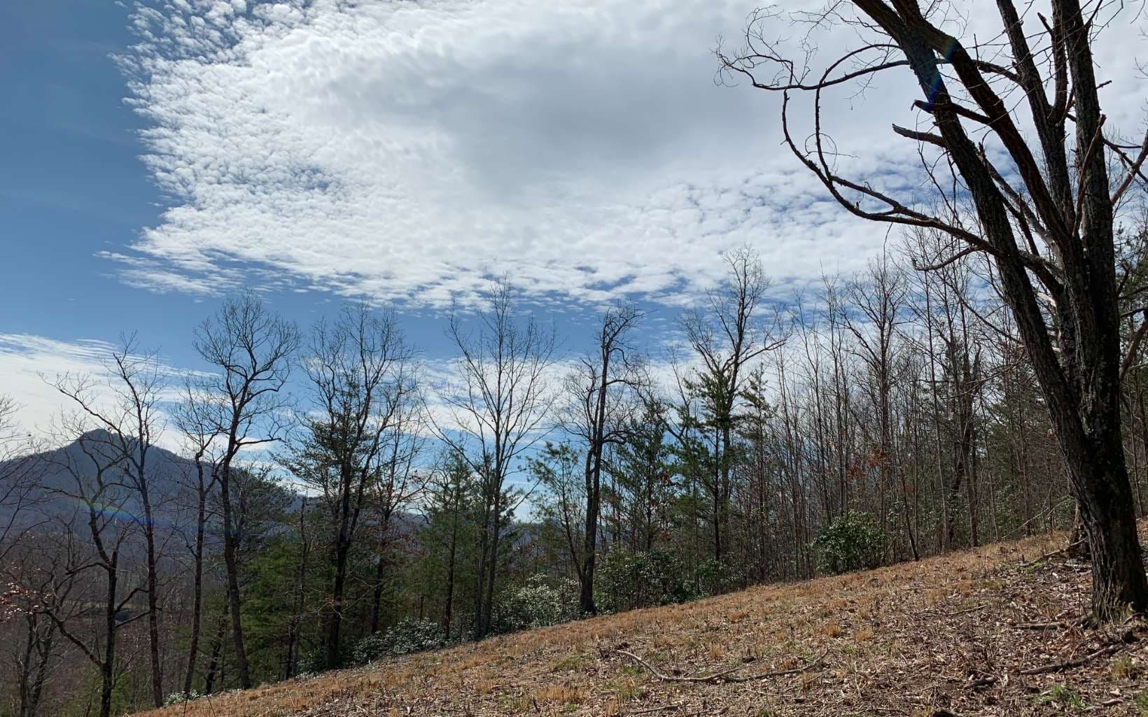 Lot 42 Dan Knob, Hayesville NC 28904 - Photo