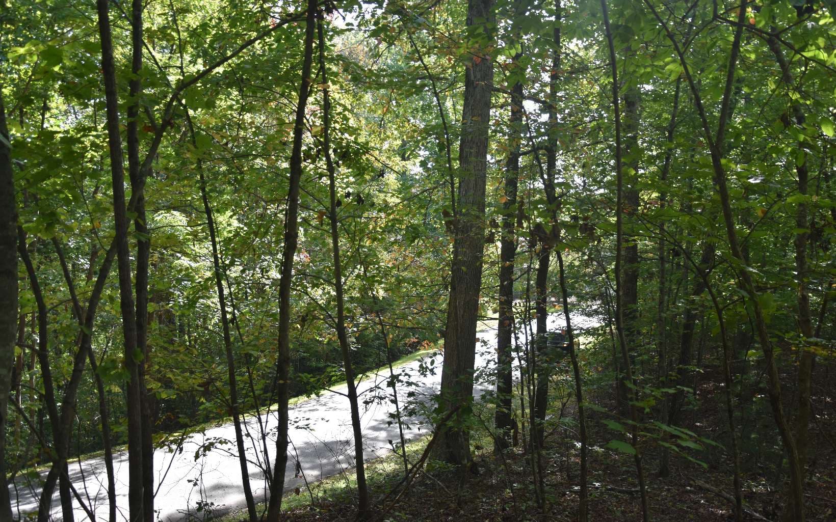 32A Licklog Ridge, Hayesville NC 28904 - Photo