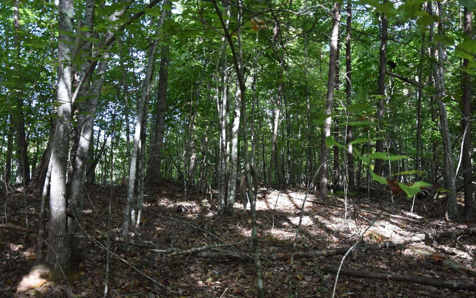 32A Licklog Ridge, Hayesville NC 28904 - Photo