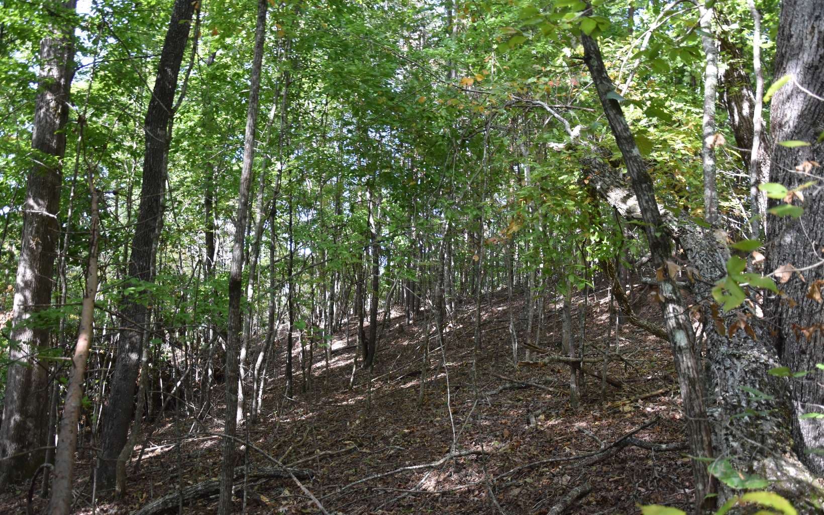32A Licklog Ridge, Hayesville NC 28904 - Photo
