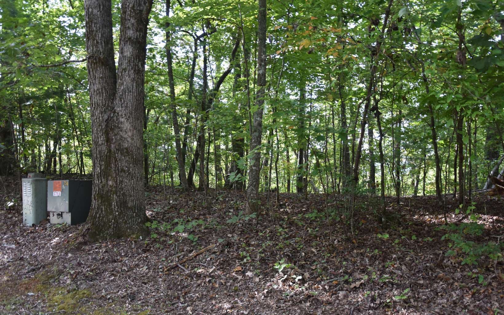 32A Licklog Ridge, Hayesville NC 28904 - Photo