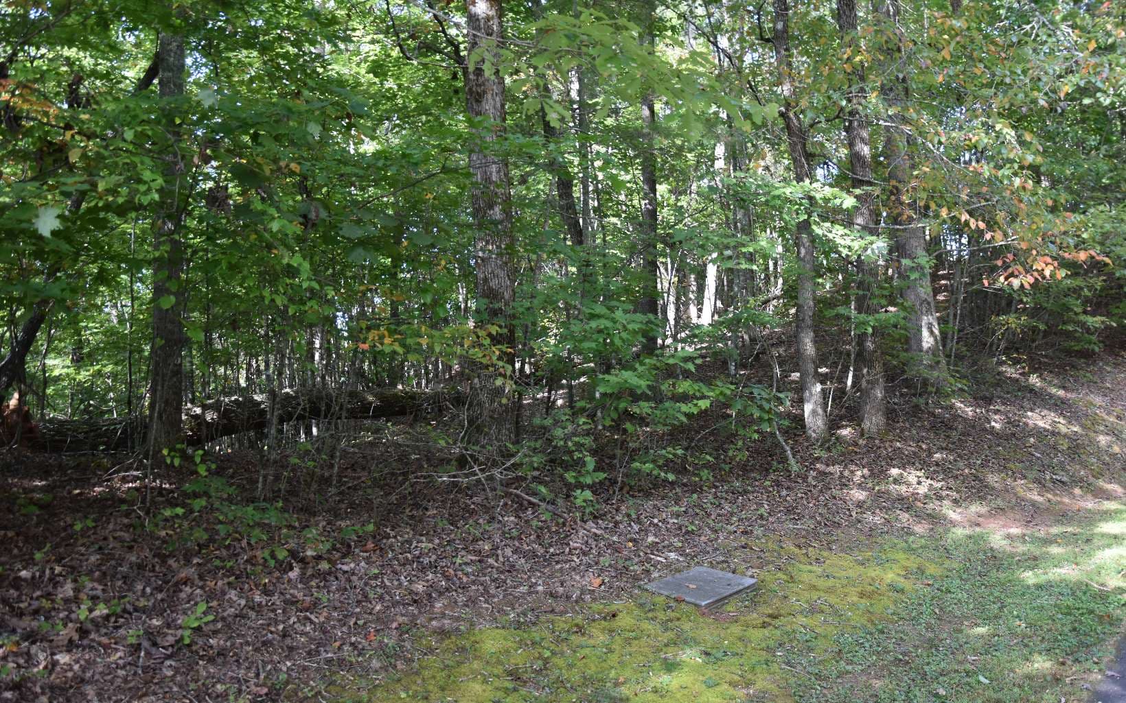32A Licklog Ridge, Hayesville NC 28904 - Photo