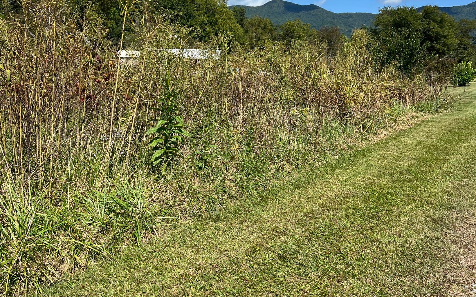 285 Mountain Meadow, Hayesville NC 28904 - Photo