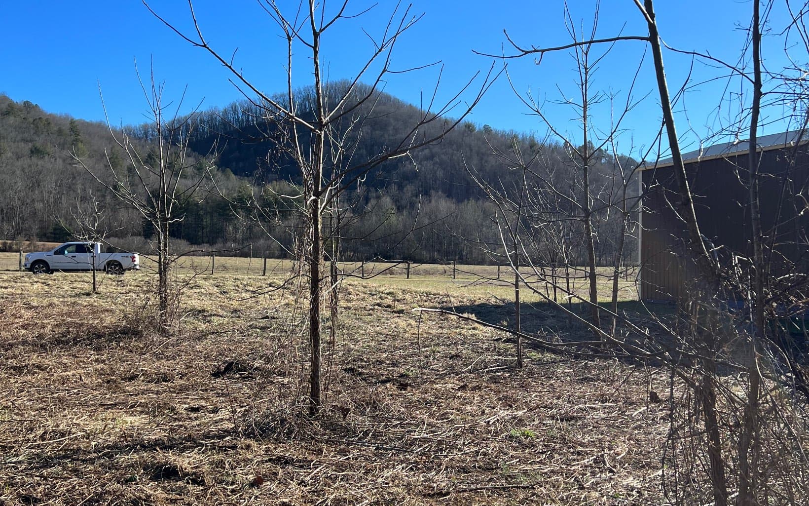 285 Mountain Meadow, Hayesville NC 28904 - Photo