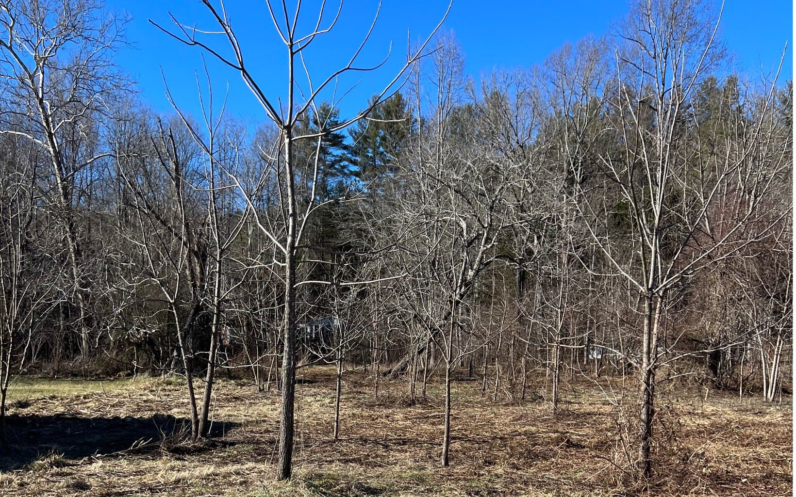 285 Mountain Meadow, Hayesville NC 28904 - Photo