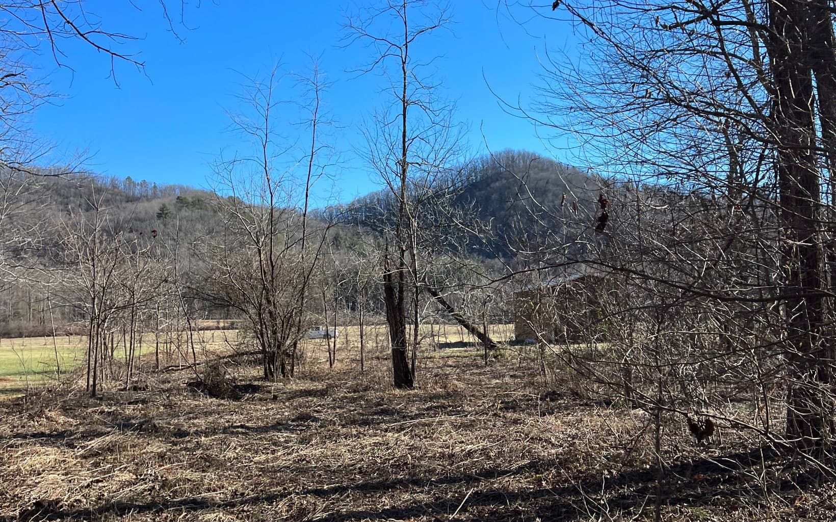 285 Mountain Meadow, Hayesville NC 28904 - Photo