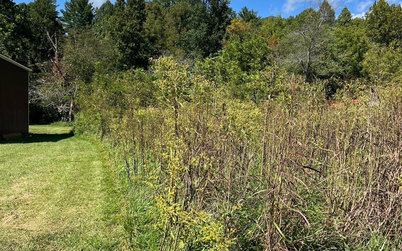 285 Mountain Meadow, Hayesville NC 28904 - Photo