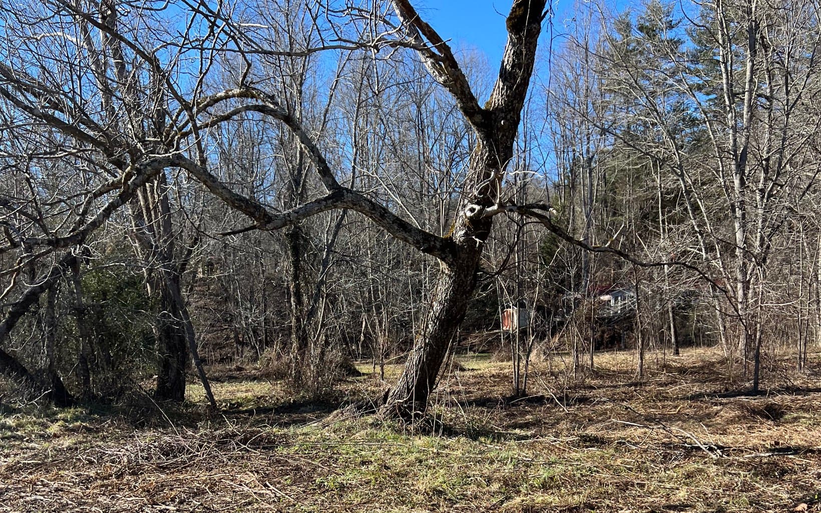 285 Mountain Meadow, Hayesville NC 28904 - Photo
