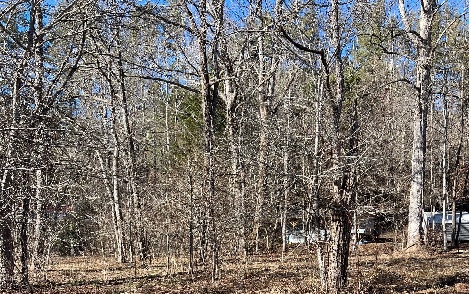 285 Mountain Meadow, Hayesville NC 28904 - Photo