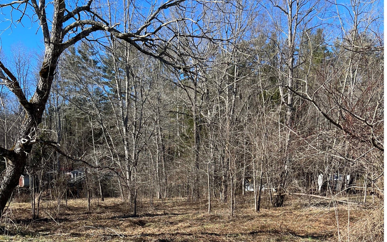 285 Mountain Meadow, Hayesville NC 28904 - Photo