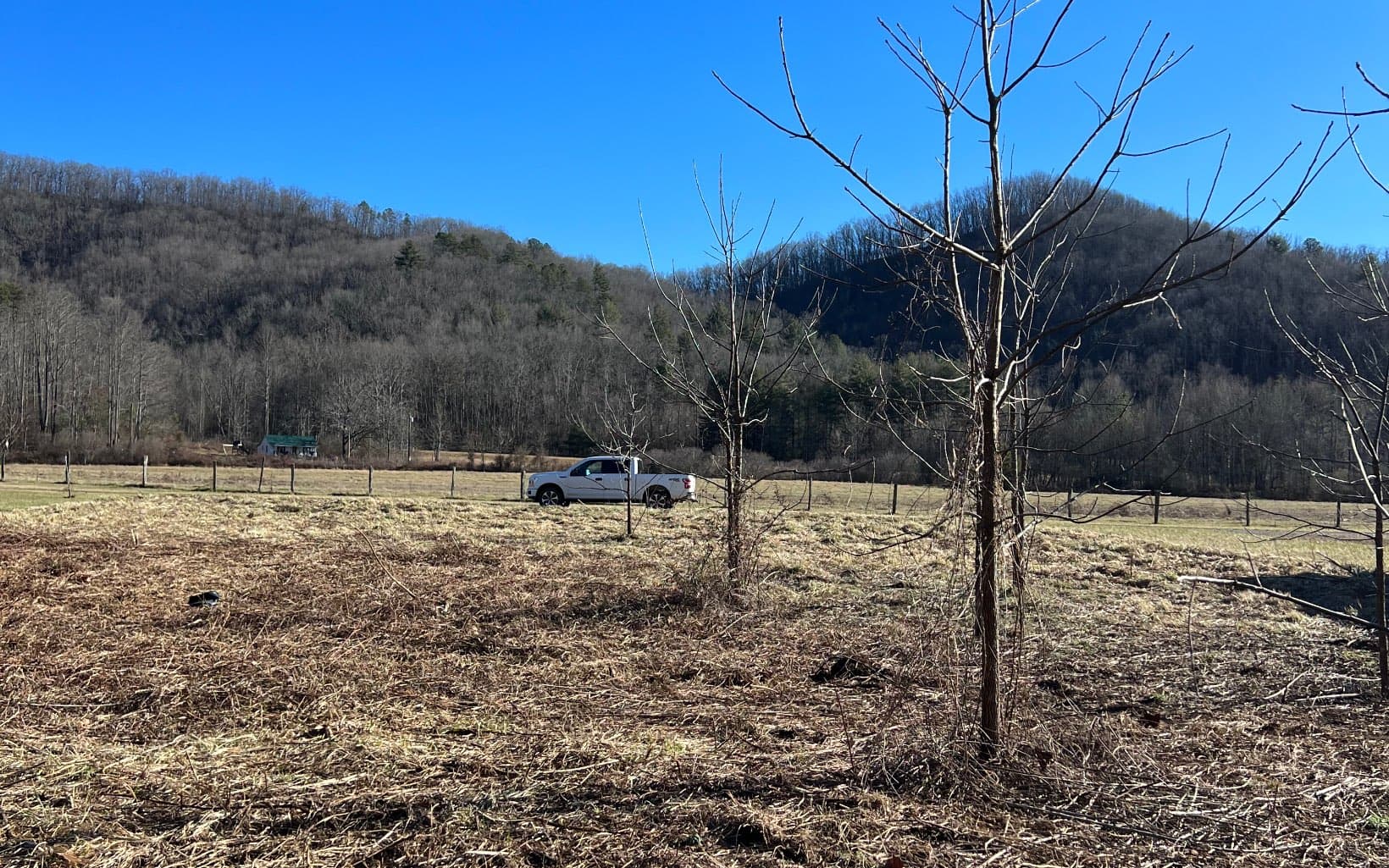 285 Mountain Meadow, Hayesville NC 28904 - Photo