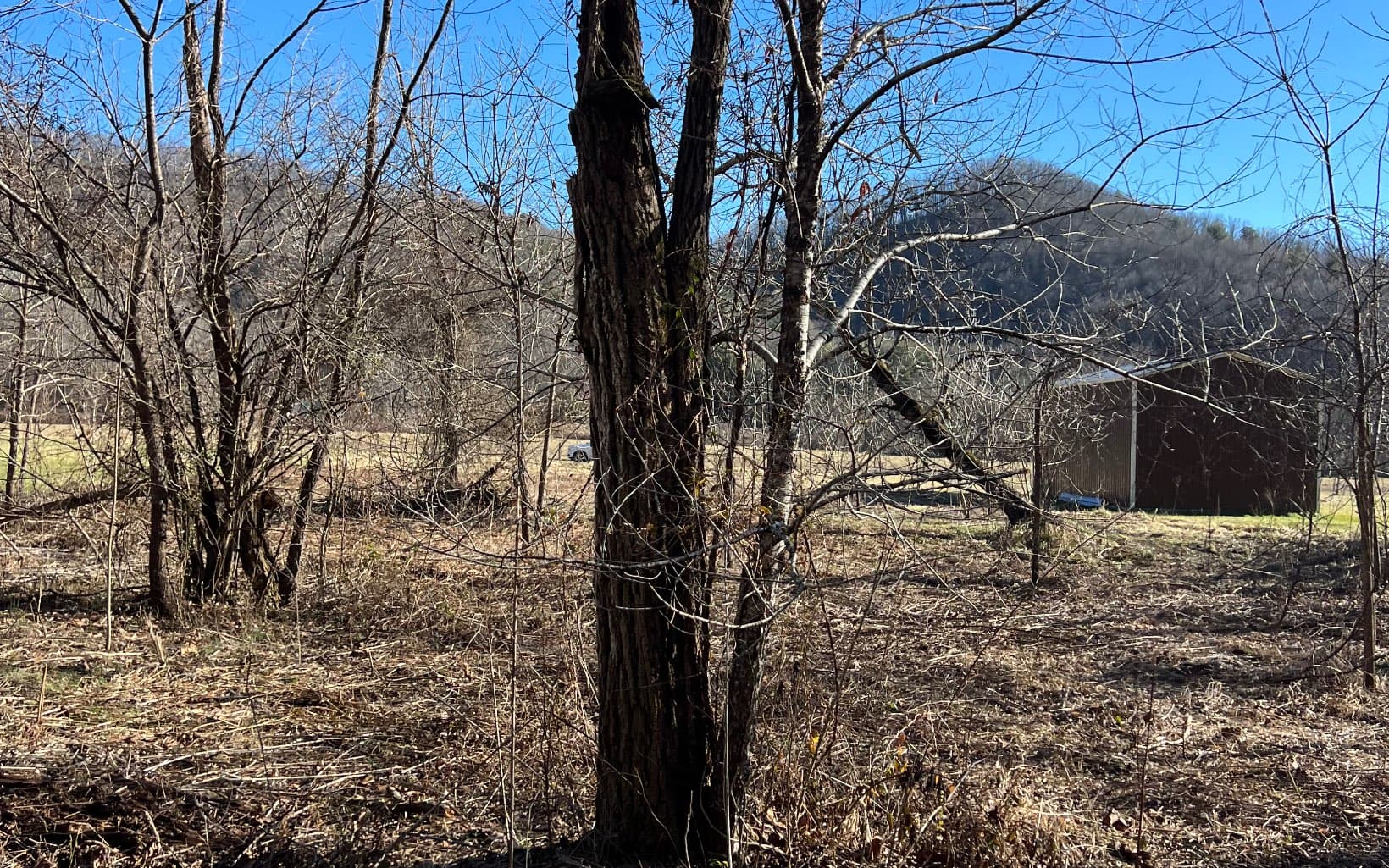 285 Mountain Meadow, Hayesville NC 28904 - Photo