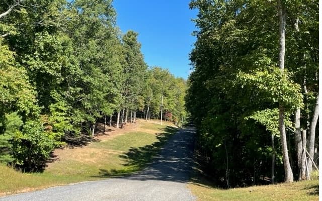8 AC Payne Way, Blairsville GA 30512 - Photo