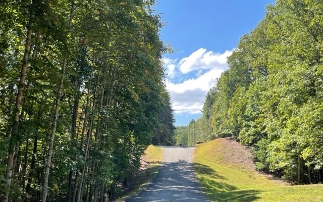 8 AC Payne Way, Blairsville GA 30512 - Photo