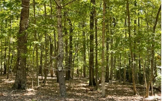 8 AC Payne Way, Blairsville GA 30512 - Photo