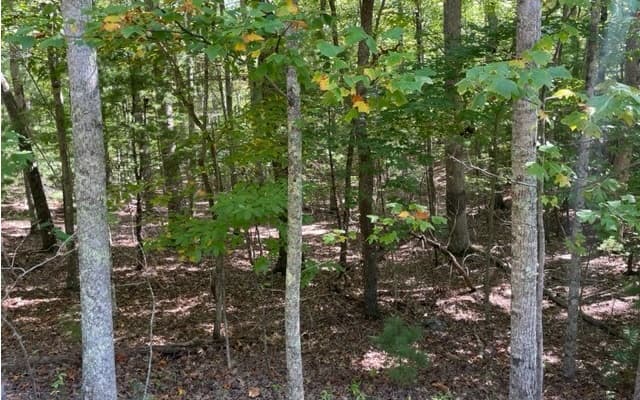 8 AC Payne Way, Blairsville GA 30512 - Photo