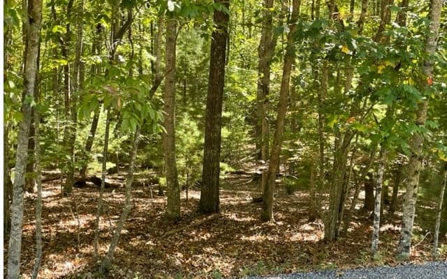 8 AC Payne Way, Blairsville GA 30512 - Photo