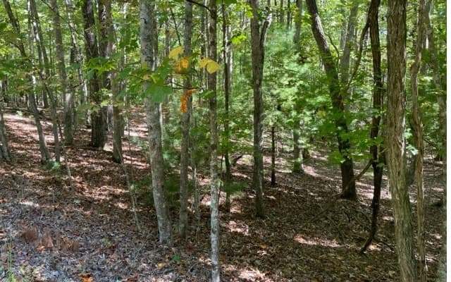 8 AC Payne Way, Blairsville GA 30512 - Photo