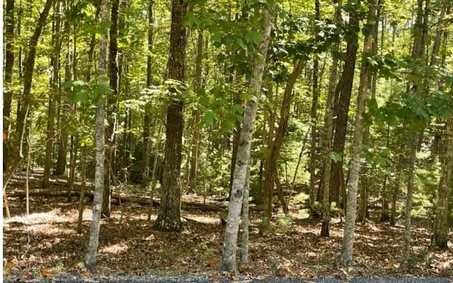 8 AC Payne Way, Blairsville GA 30512 - Photo