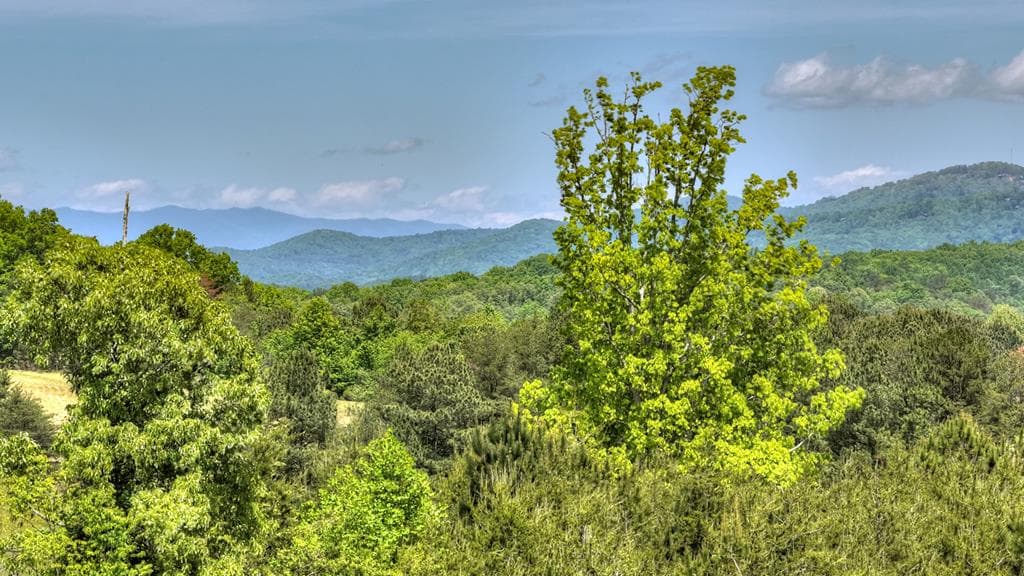 1 Tom Boyd Road, Blue Ridge GA 30513 - Photo