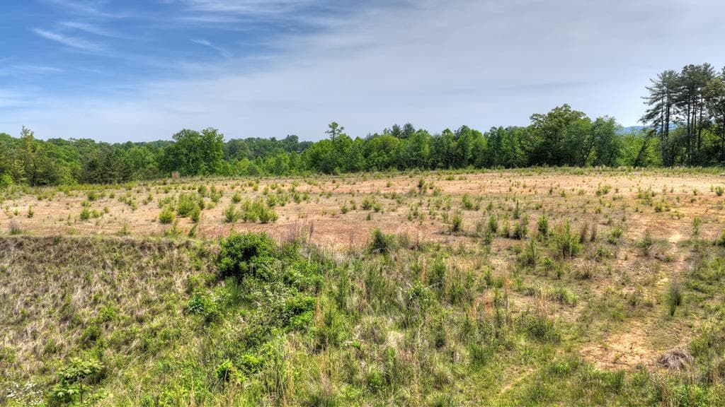 1 Tom Boyd Road, Blue Ridge GA 30513 - Photo