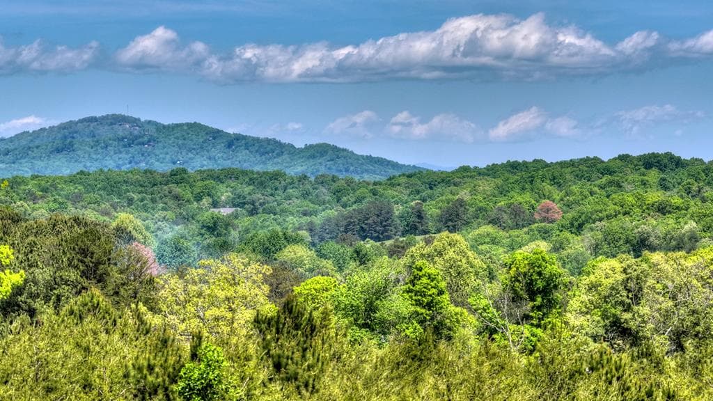 1 Tom Boyd Road, Blue Ridge GA 30513 - Photo