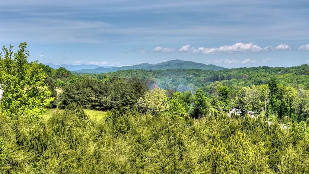 1 Tom Boyd Road, Blue Ridge GA 30513 - Primary photo
