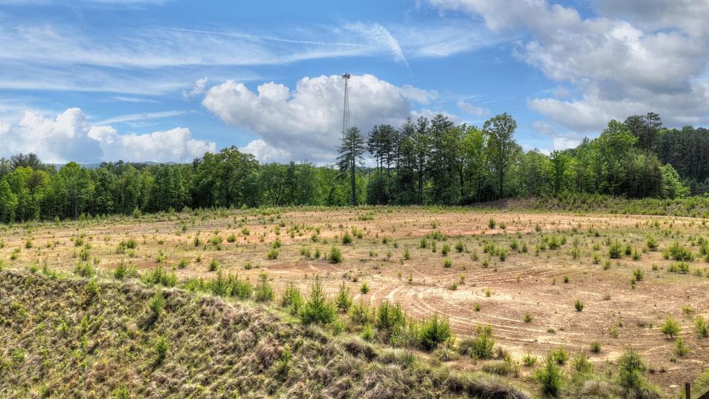 1 Tom Boyd Road, Blue Ridge GA 30513 - Photo