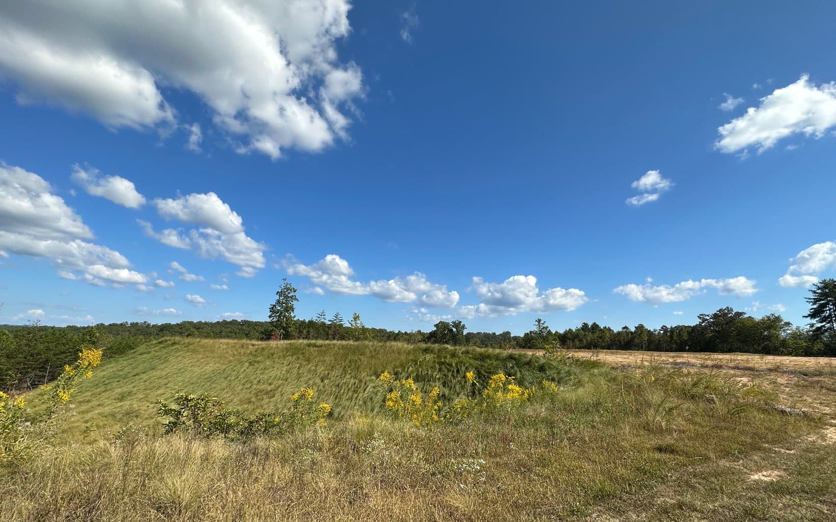 1 Tom Boyd Road, Blue Ridge GA 30513 - Photo