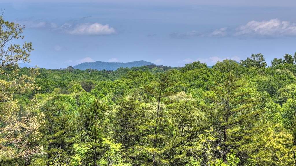1 Tom Boyd Road, Blue Ridge GA 30513 - Photo