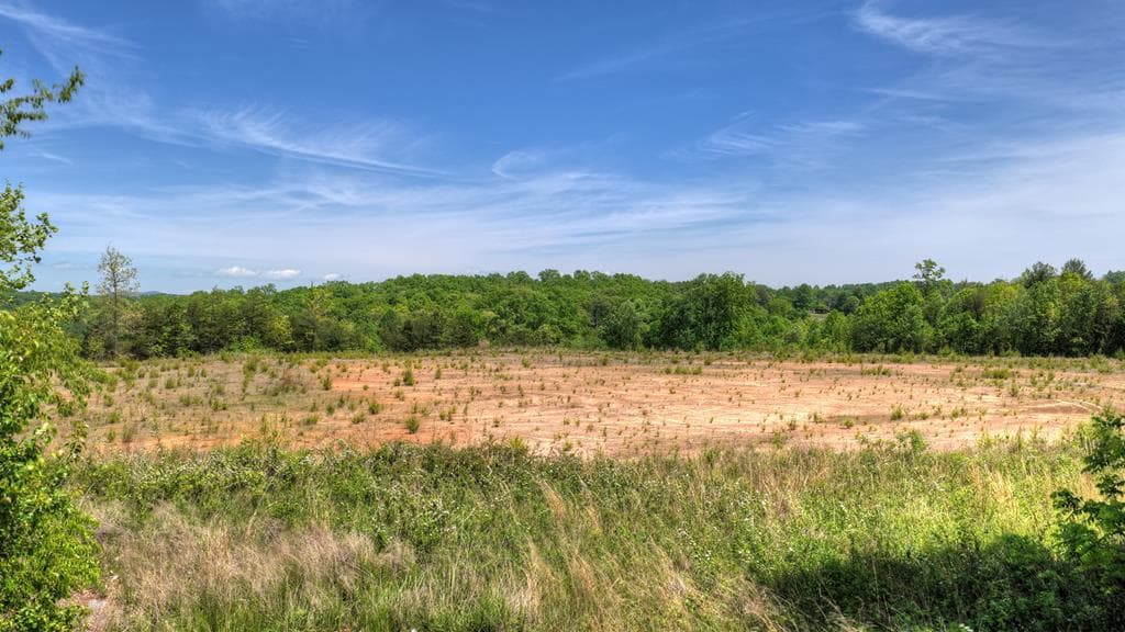 1 Tom Boyd Road, Blue Ridge GA 30513 - Photo