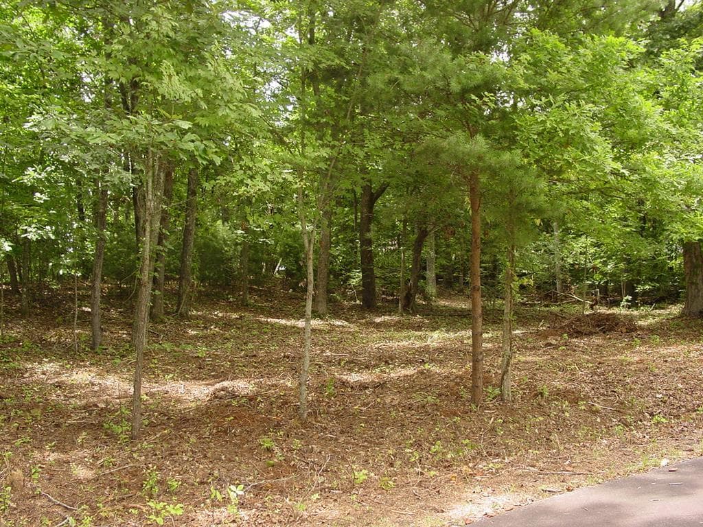 1481 Phillips Cove Drive, Hiawassee GA 30546 - Primary photo